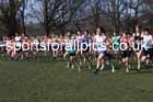 Mens under-20s 2025 UK CAU Inter Counties Cross Country Champs., Wollaton Park, Nottingham. Photo: David T. Hewitson/Sports for All Pics